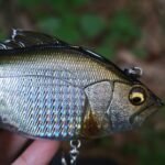 Rattle-Glide-Baits-for-Bass-Freshwater-Vibe-Fishing-Lure​_ring08