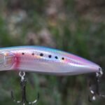 inshore-popper-lure-floating-topwater-baits-for-bass_ring16