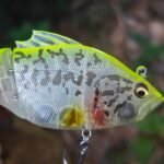 inshore-popper-lure-floating-topwater-baits-for-bass_ring17
