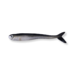 Soft Jerkbait - Fluke Soft Plastics_main