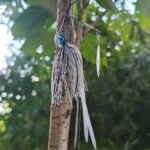 double-willow-spinnerbait-weedless-spinner-bait-lure_ring13
