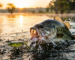 freshwater-fishing-lures