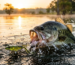 freshwater-fishing-lures