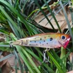 freshwater-popper-fishing-lure-floating-topwater-baits_ring14