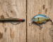 hard-baits-vs-soft-plastics