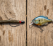 hard-baits-vs-soft-plastics
