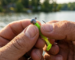 best-crappie-jigs-for-summer