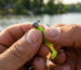 best-crappie-jigs-for-summer