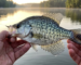 best-time-to-fish-for-crappie-spring-morning