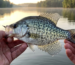 best-time-to-fish-for-crappie-spring-morning