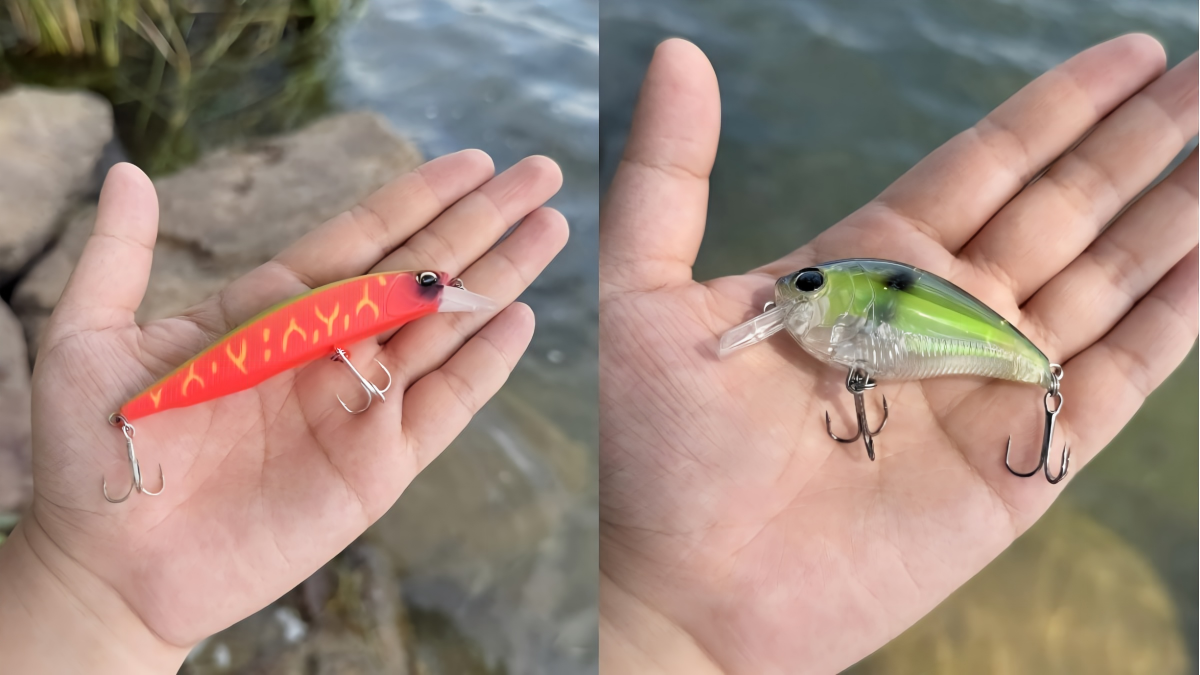 jerkbait-vs-crankbait